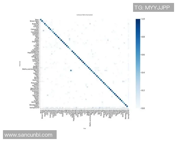 重庆飞盘队快攻战术分析与比赛表现的深度评估